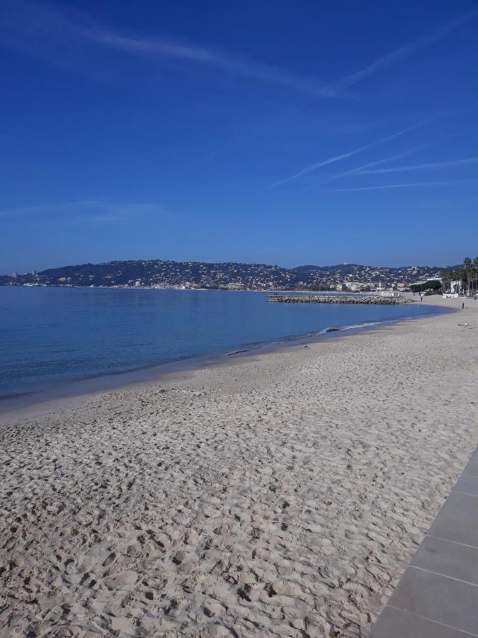Le Palais Du Tropique Appartement Vue Mer 5E Etage Avec Ascenseur Juan-les-Pins Buitenkant foto