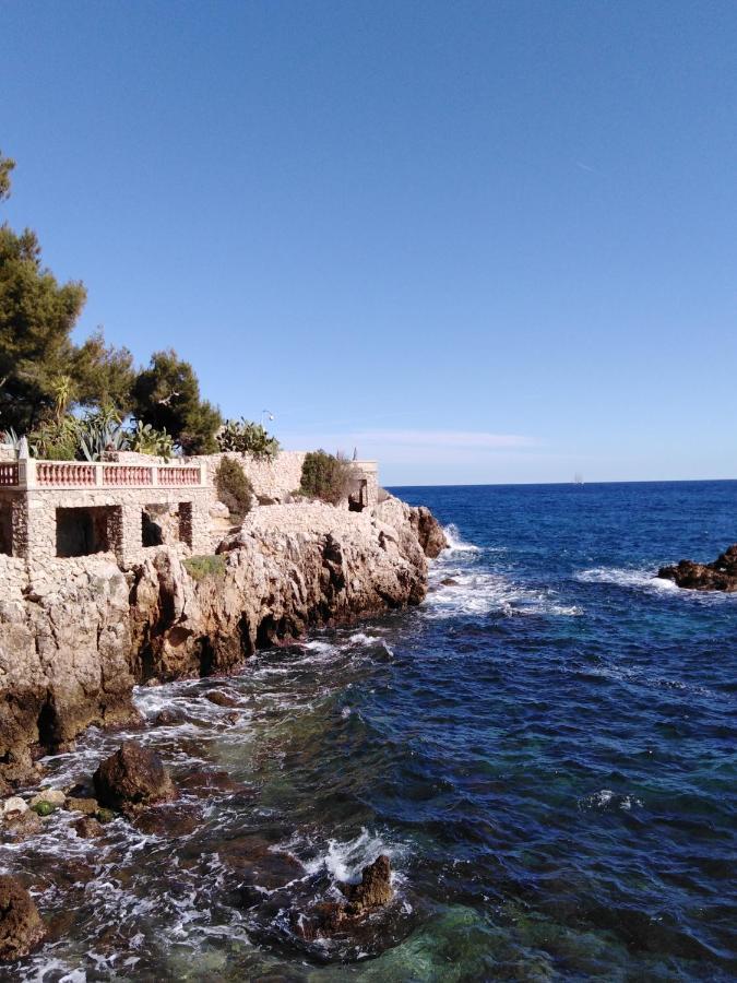 Le Palais Du Tropique Appartement Vue Mer 5E Etage Avec Ascenseur Juan-les-Pins Buitenkant foto